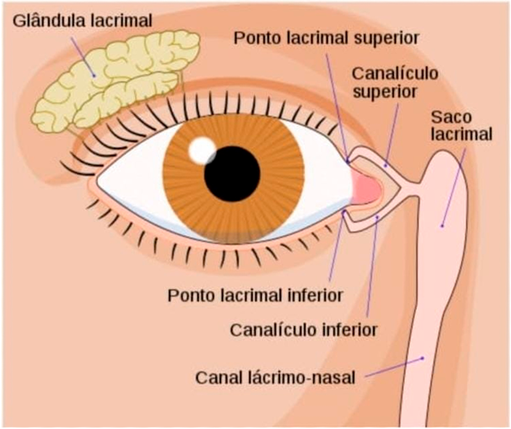 lacrimais